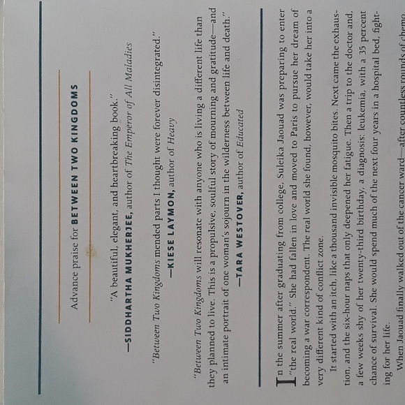 Between Two Kingdom's A Memoir of a Life Interrupted by Suleika Jaouad - Picture 3 of 6